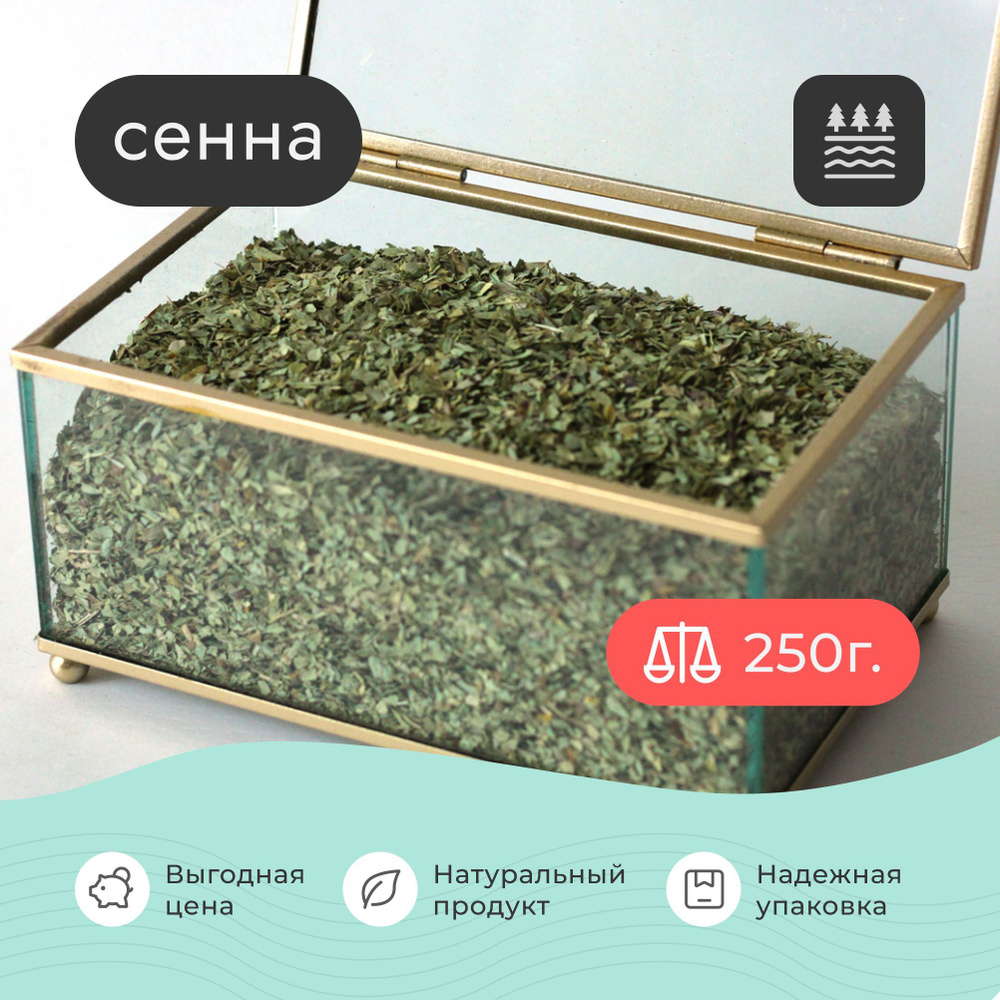 Сенна трава сушеная 250 грамм / для чая #1