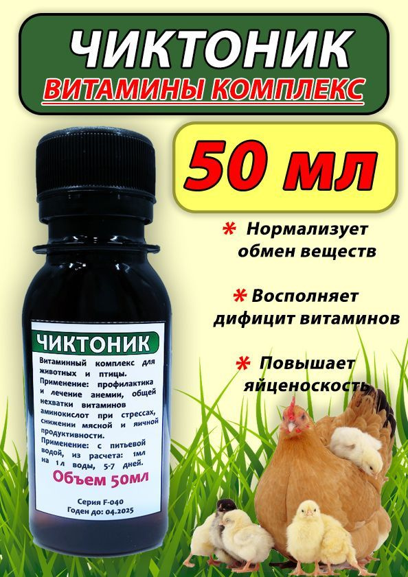 Чиктоник (Chiktonik)