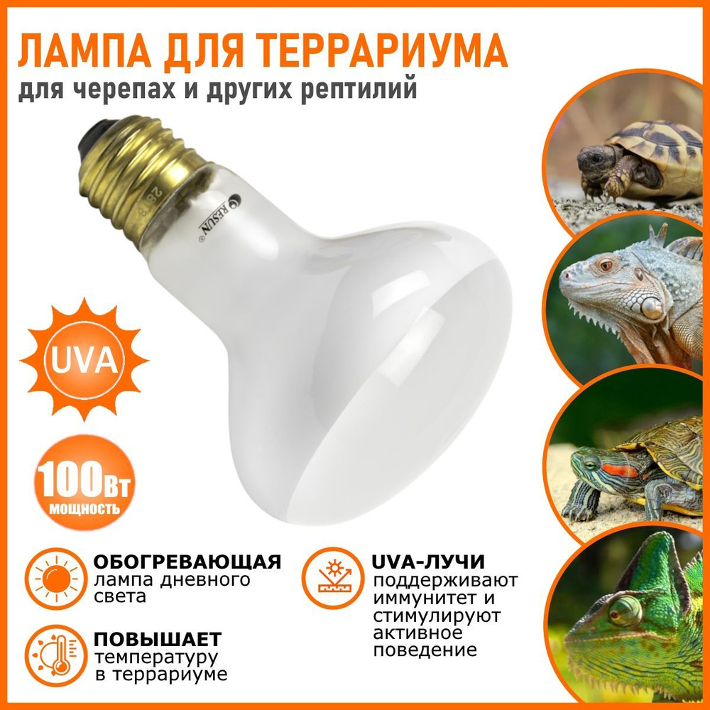 LED-лампа и рука. LED-lamp and hand - Химия и Химики № 1 