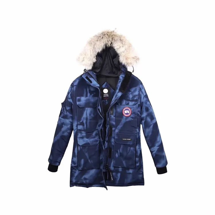 Abstract blue store camo canada goose