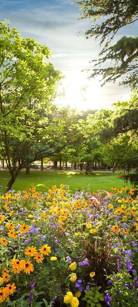 Самоклеящиеся фотообои "Сад с цветами", размер: 90x200 см #1