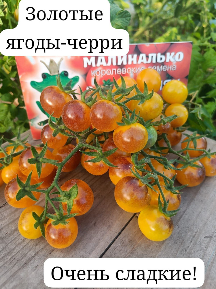 Семена #1