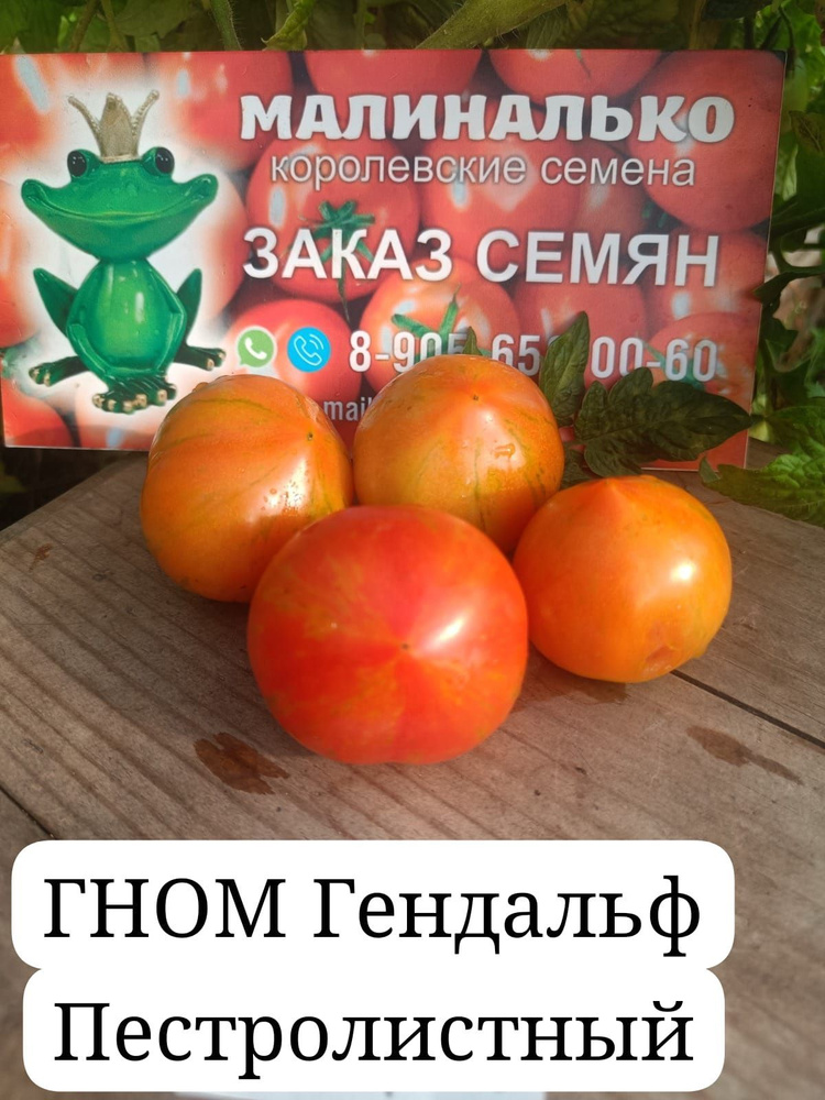 Семена #1