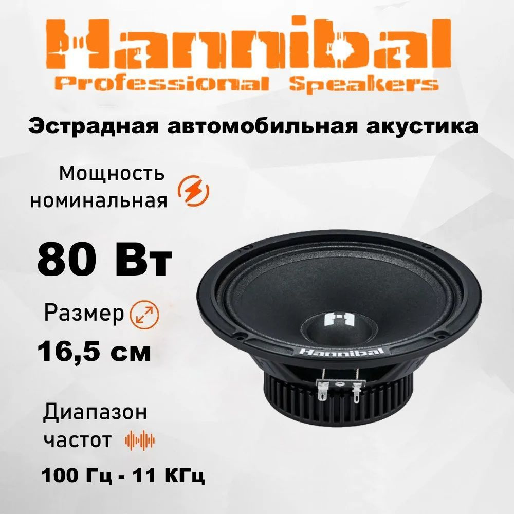 Среднечастотная автомобильная акустика Alphard Hannibal HM-6E / Колонки  автомобильные 16,5 см - купить по выгодной цене в интернет-магазине OZON  (1181038365)