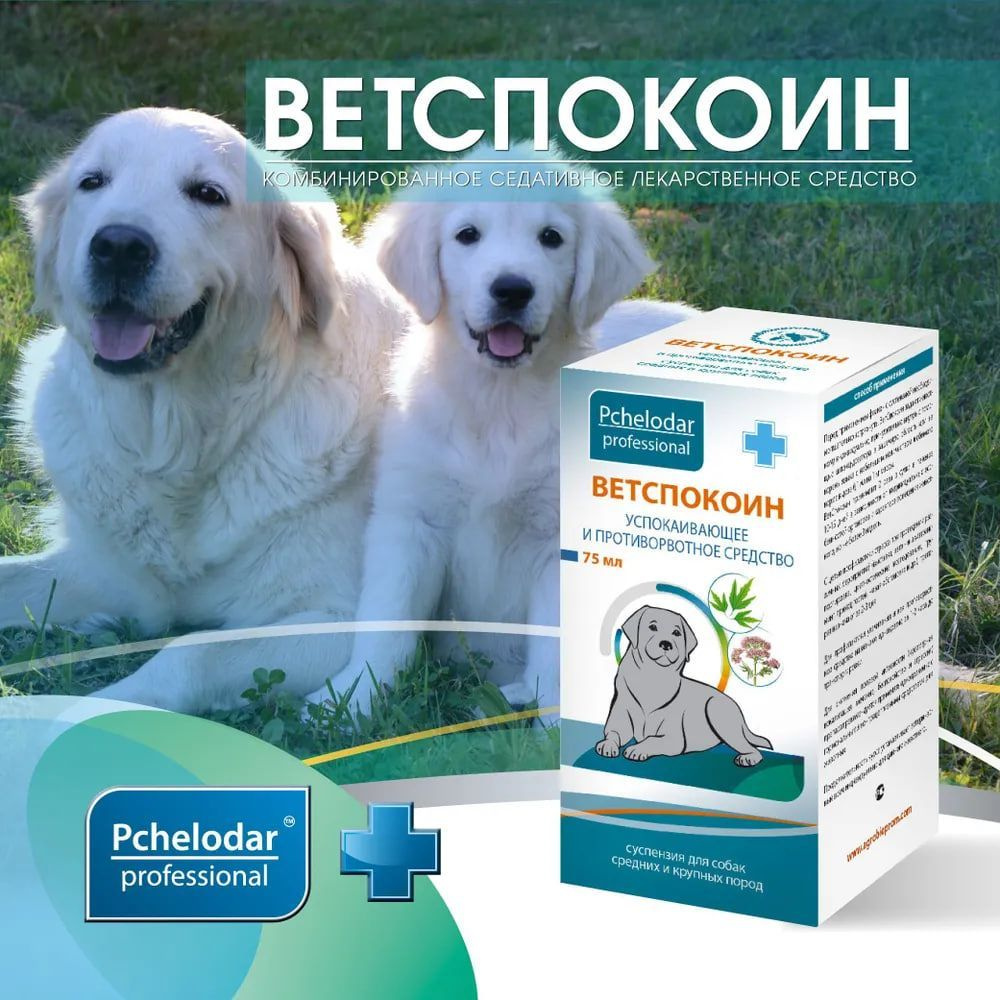 Ветспокоин Успокоительное для собак мелких пород и противорвотное средство,  суспензия, Пчелодар - купить с доставкой по выгодным ценам в  интернет-магазине OZON (1202778256)