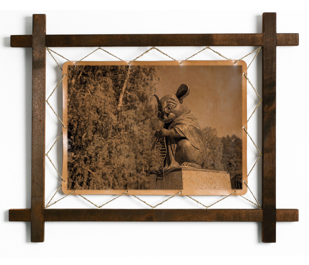 Картина Памятник лабораторной мыши, гравировка на натуральной коже ...