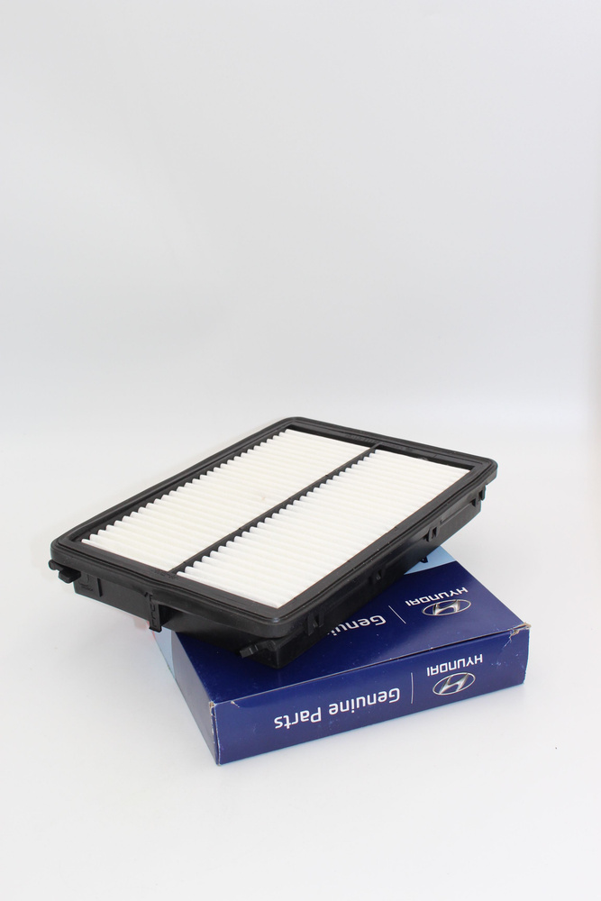 Фильтр воздушный Hyundai 28113C1100 - купить по выгодным ценам в ...