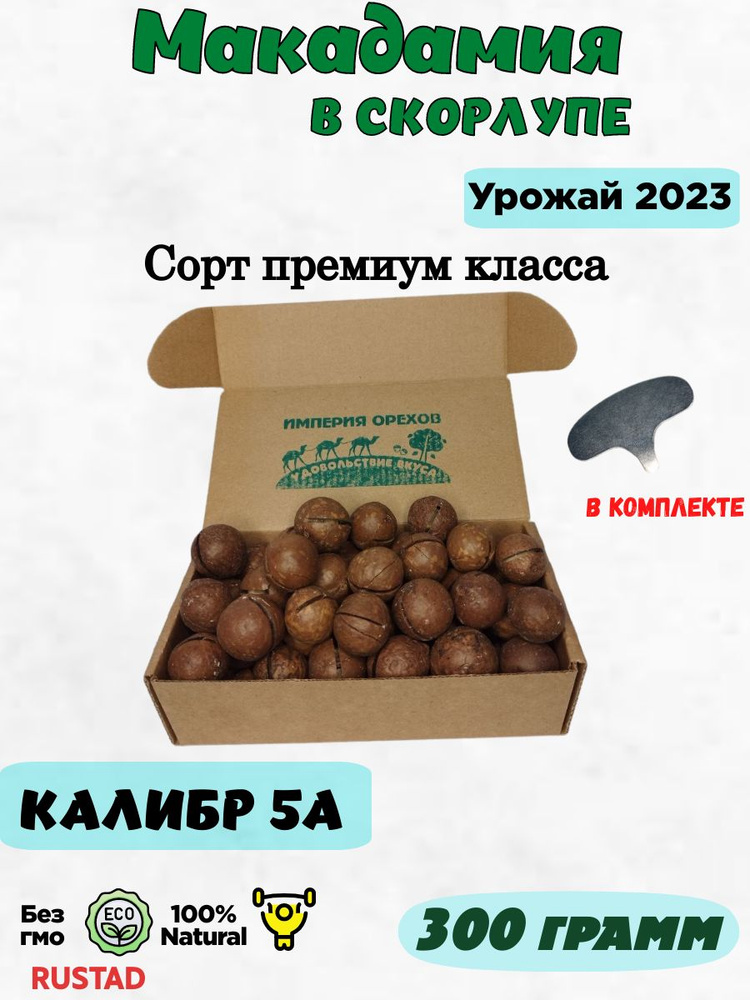 Макадамия 300 гр. калибр 5А #1