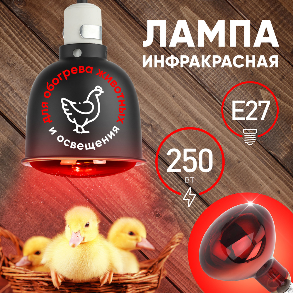 Лампочка ИКЗК 220-250 R127 Е27 ЭРА / Инфракрасная лампа для курятника ...
