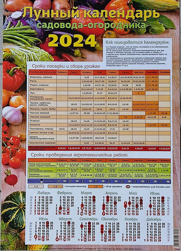Календарь листовой 2024 год. Лунный календарь садовода-огородника. Овощи,  Уф-лак, А2, Келинс 24159 - купить с доставкой по выгодным ценам в  интернет-магазине OZON (1278569487)