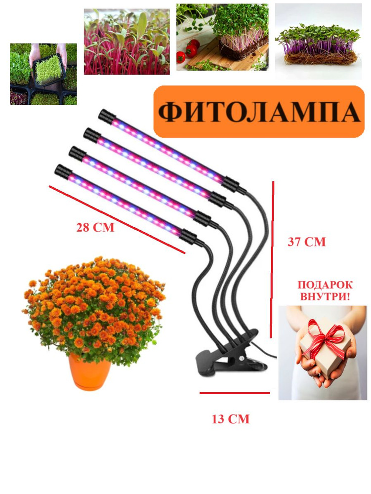 Фитолампа для рассады, цветов, растений, микро зелени - купить с ...