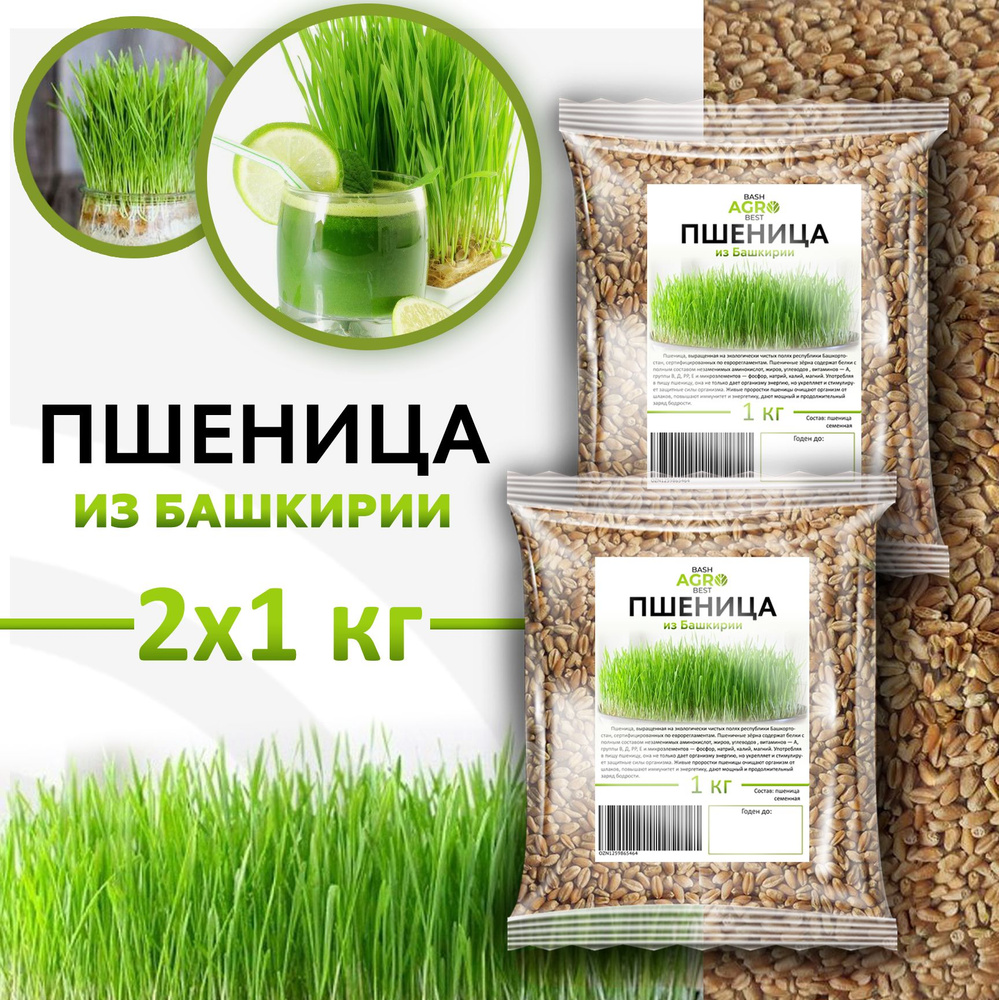 Пшеница для проращивания 2шт. по 1кг. - купить с доставкой по выгодным ...