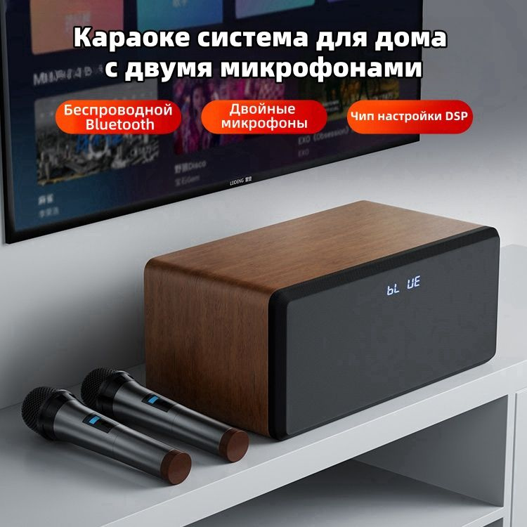 Караоке система для дома с двумя микрофонами, встроенная звуковая карта ...