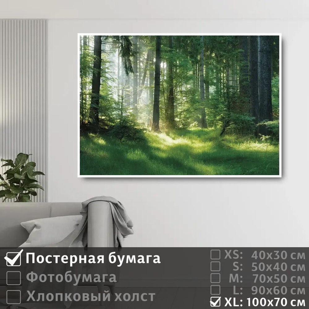 Постер на стену Солнечные Лучи На Рассвете В Лесу 100х70 см ПолиЦентр #1