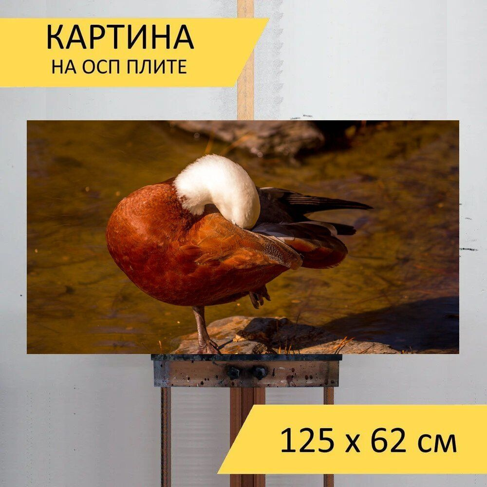 Картина птиц 