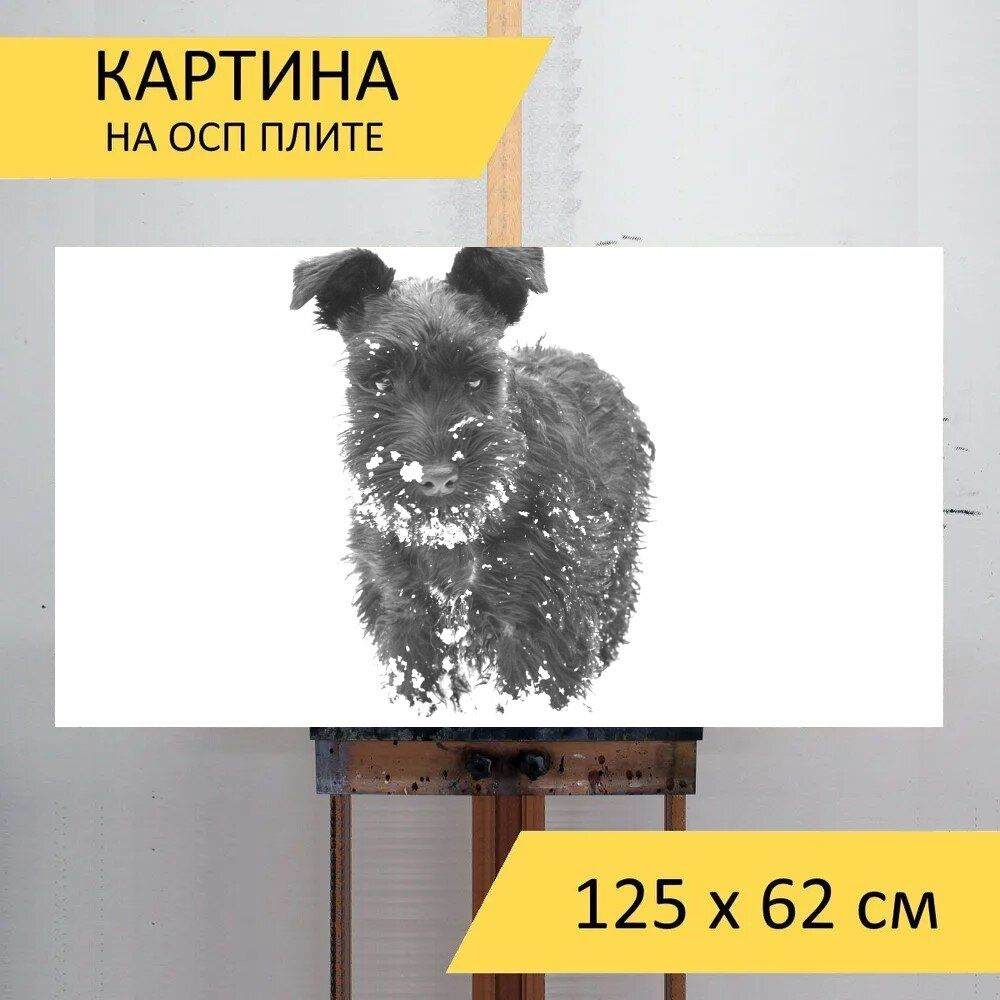 LotsPrints Картина "Собака, снег, шнауцер 86", 125  х 62 см #1