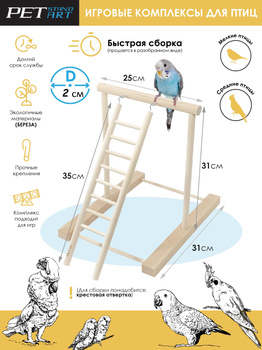 Как оборудовать место для волнистого попугая? | VK