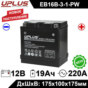 Vendita AGM 12-31, Batteria Moto EXIDE AGM 12 Volt 30Ah(10hr.) 430A CCA  (EN), Polo positivo: DX Exide - AGM12-31