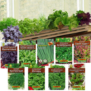 Семена Салата для Выращивания на Подоконнике – купить в интернет-магазинеOZON по выгодной цене