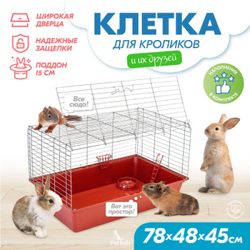 Поддон Пластиковый для Клетки – купить в интернет-магазине OZON по ...