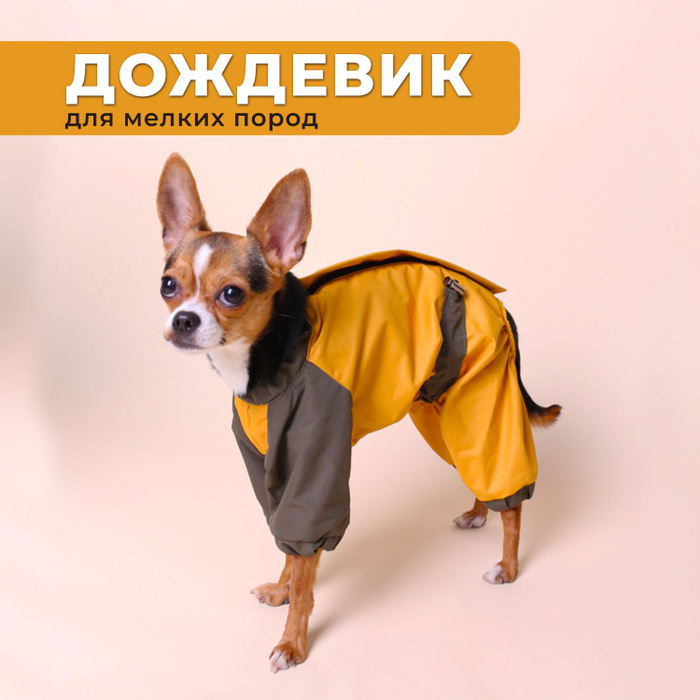 Дождевик для собак мелких пород, демисезонная одежда для животных ...