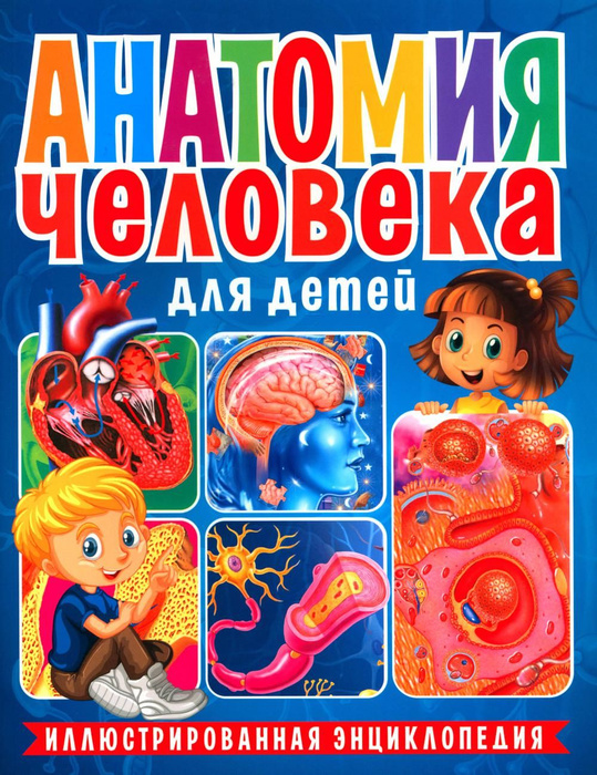 Анатомия человека для детей. Иллюстрированная энциклопедия - купить с ...