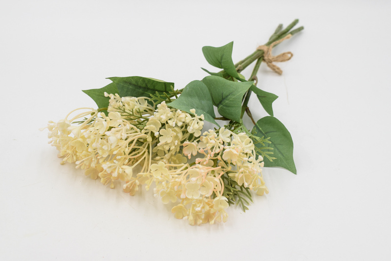 Срез гортензии. Срез гортензии. Срез гортензии. Срез гортензии. Опрыскивание гортензии.