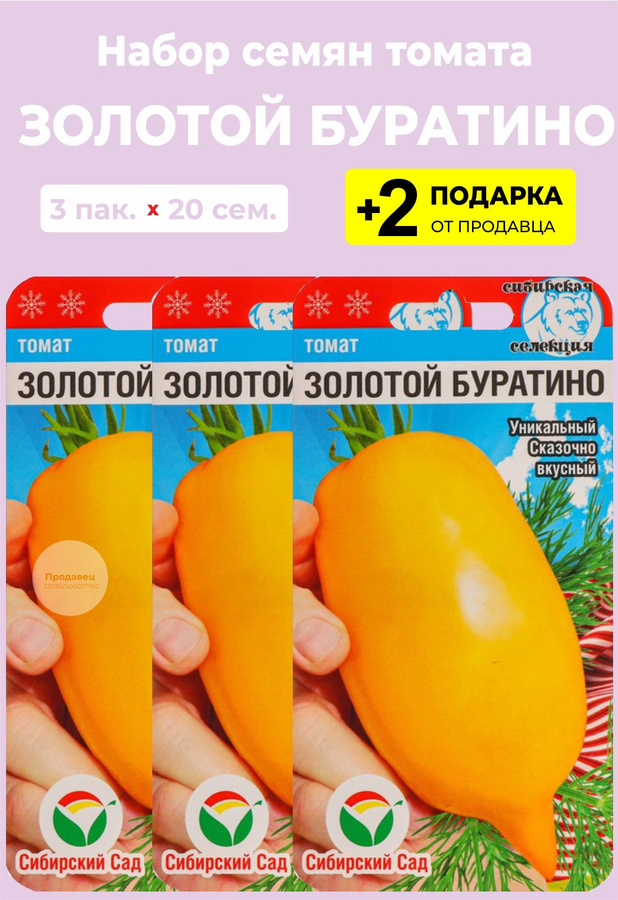Томат золотой буратино отзывы фото урожайность