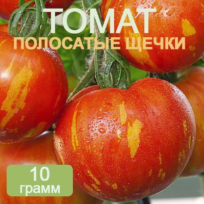 томат полосатые щечки