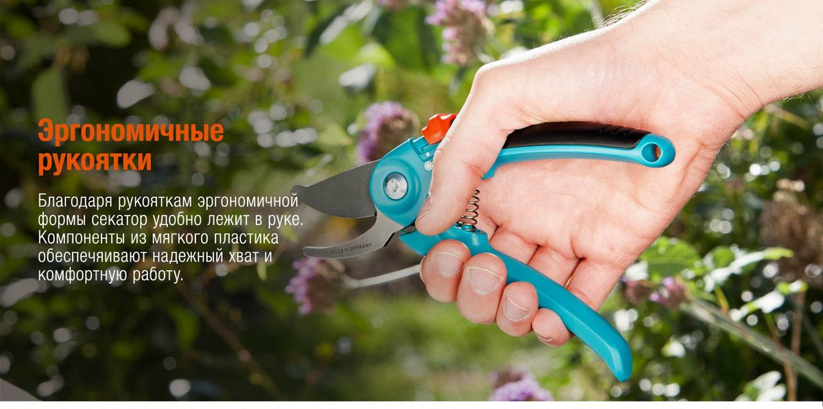 Текстовое описание изображения