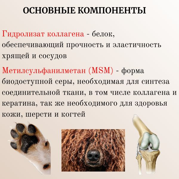 Витамины Polidex Gelabon Plus для собак, для укрепления суставов и ...