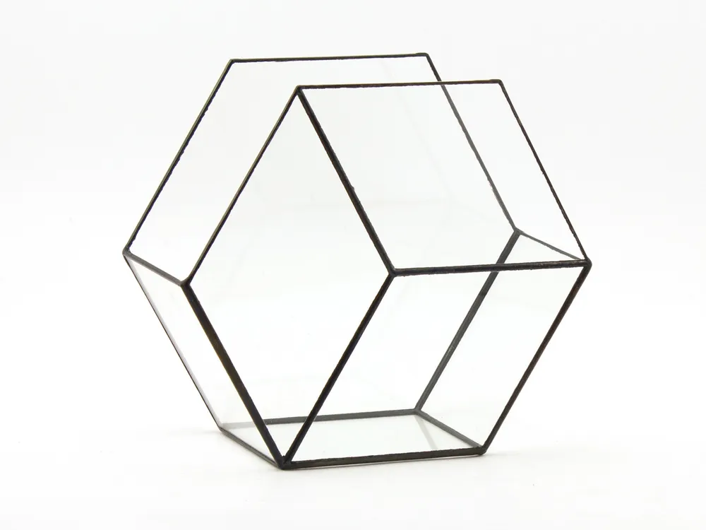 Флорариум стеклянный "Сота 3D" (19х16х7см) швы черные, VSE FLO, 19x16x7 см, фото 5
