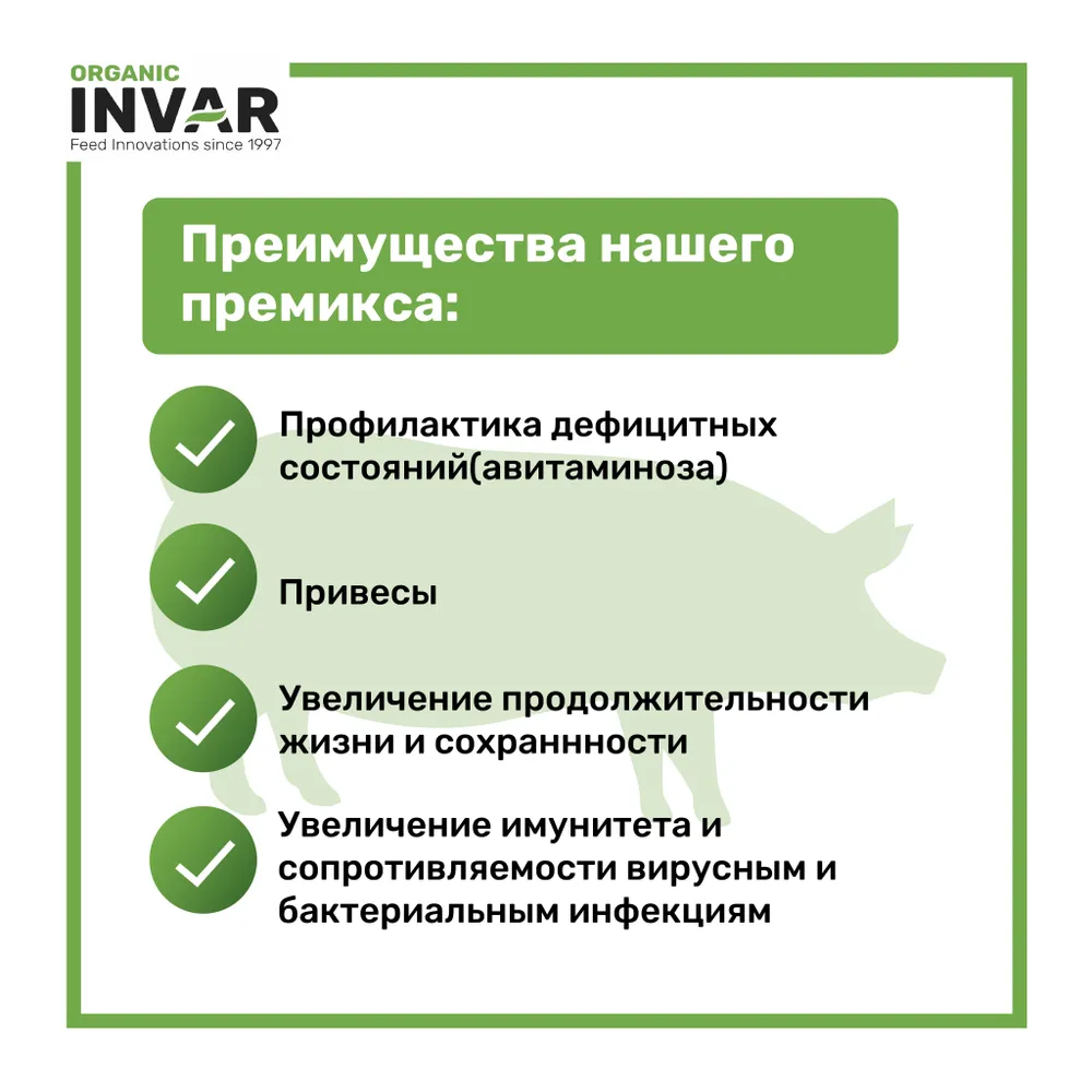 Премикс для поросят старше 2-х месяцев, ИНВАР, пакет 1 кг, 1 кг, фото 2