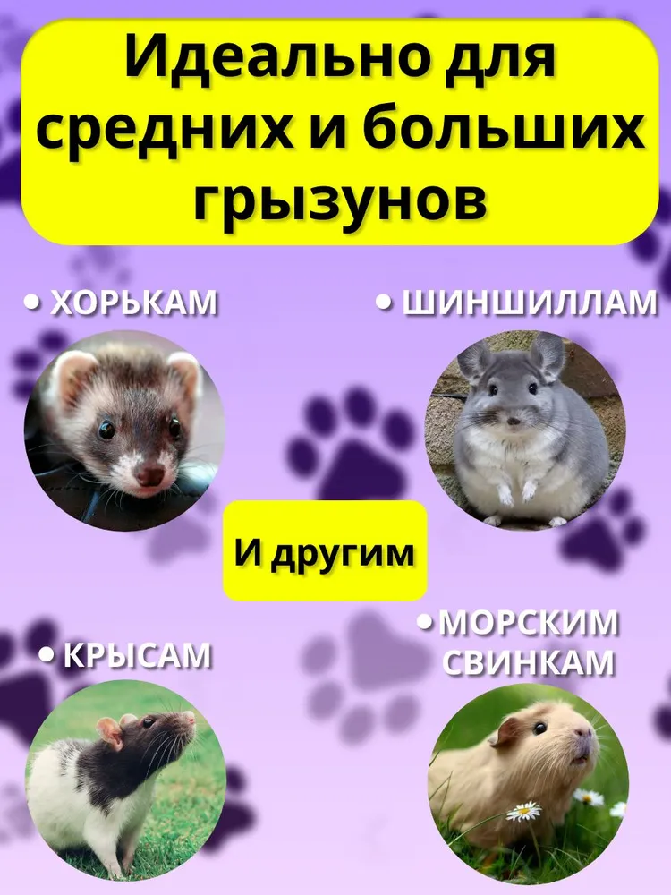 Гамак большой двухъярусный для крыс хомяков грызунов шиншилл мышей хорьков морских свинок подвесной на цепях, вариант, фото 5