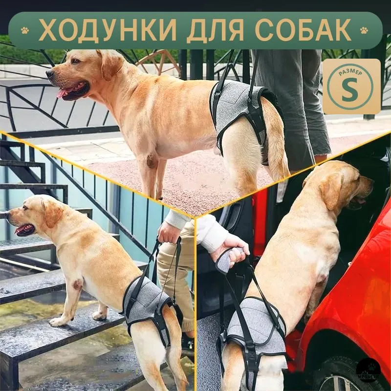 Ходунки для собак. Размер S., вариант