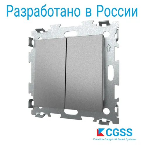 Выключатель двухклавишный серая платина, матовый, GL-W102-GPG