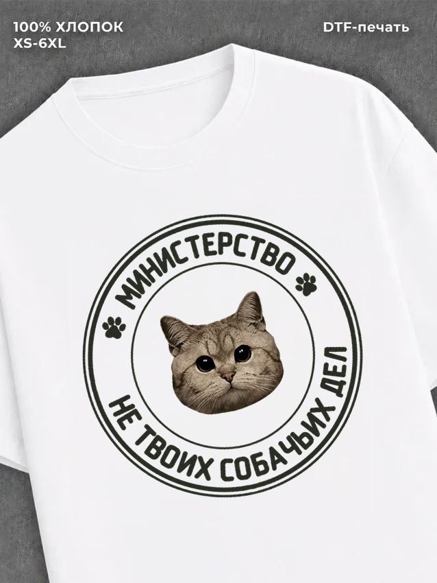 Футболка Министерство мем