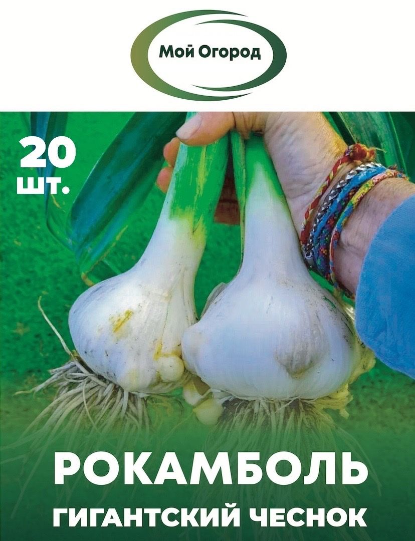 Рокамбольсортовойсеменадетки20штгигантскийчеснок