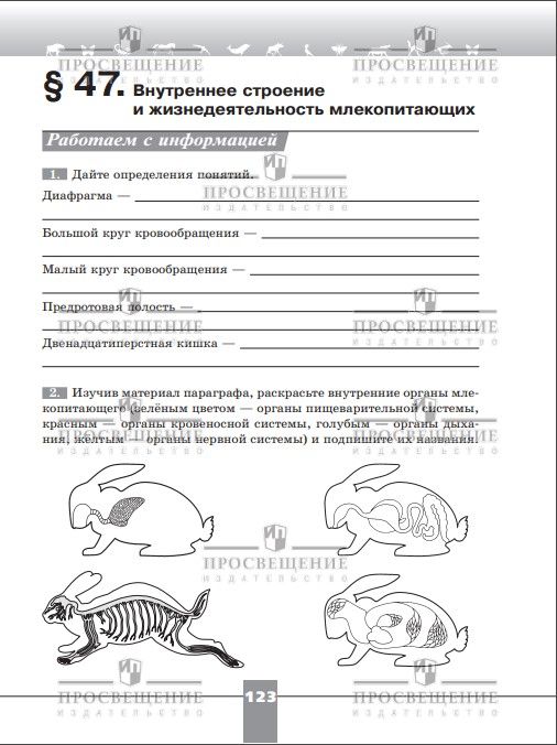 Биология. 8 класс. Базовый уровень. Рабочая тетрадь | Reference Book - Ozon image 7