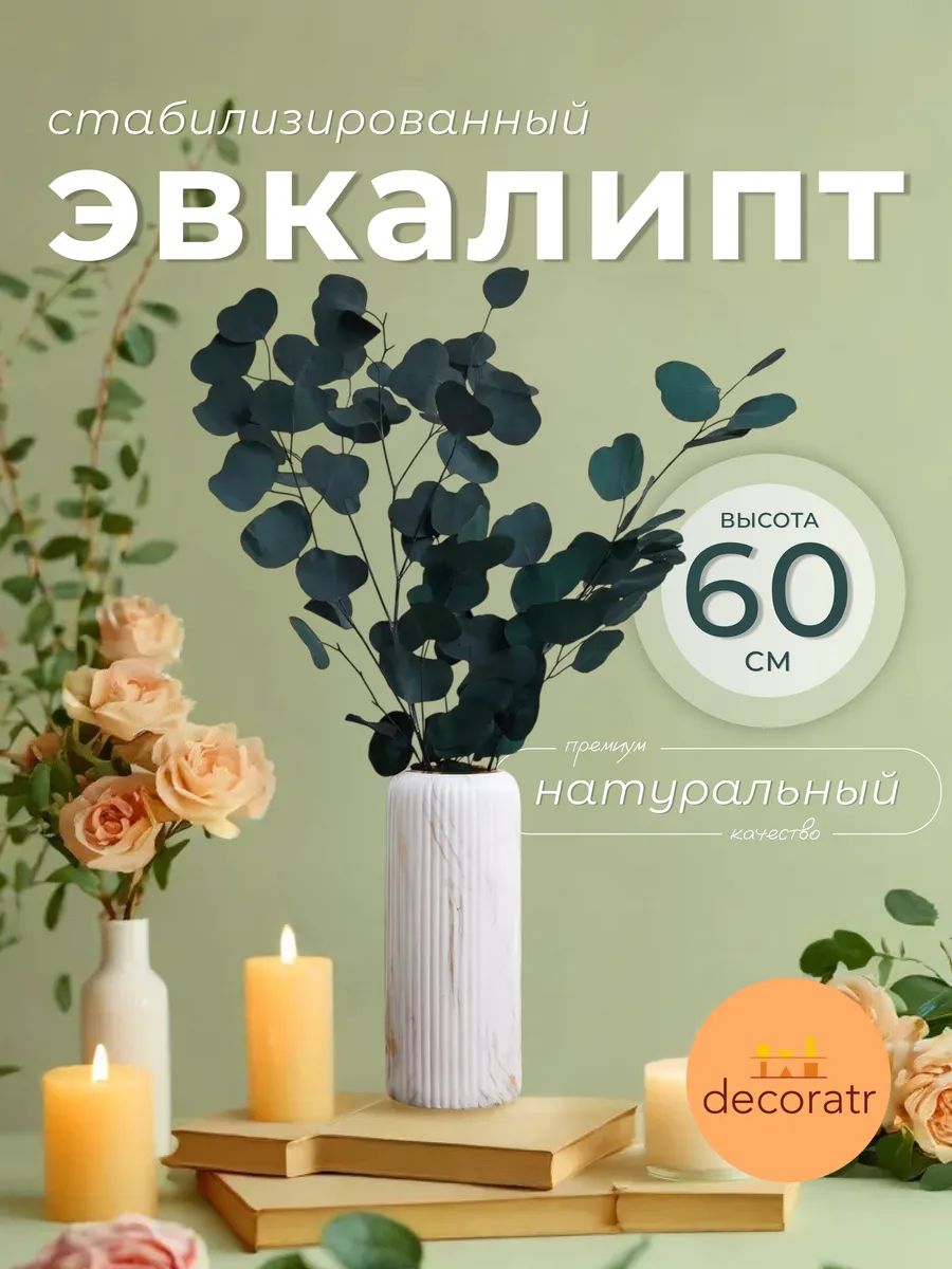 Эвкалипт парфиволия стабилизированный зеленый 60-65cm SJ-4 Китай