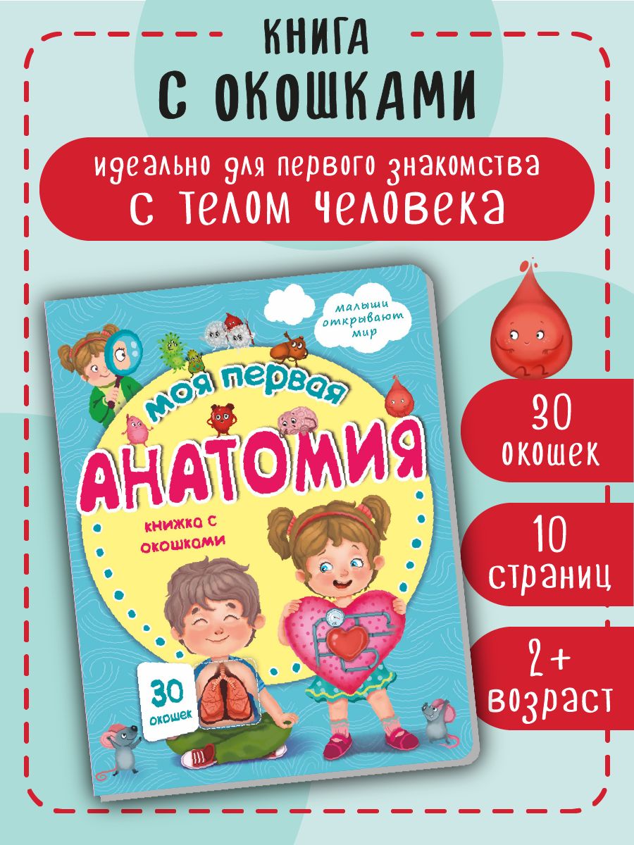 Книга детская для малышей с окошками Виммельбух | Cardboard Book for Toddlers - Ozon image 1
