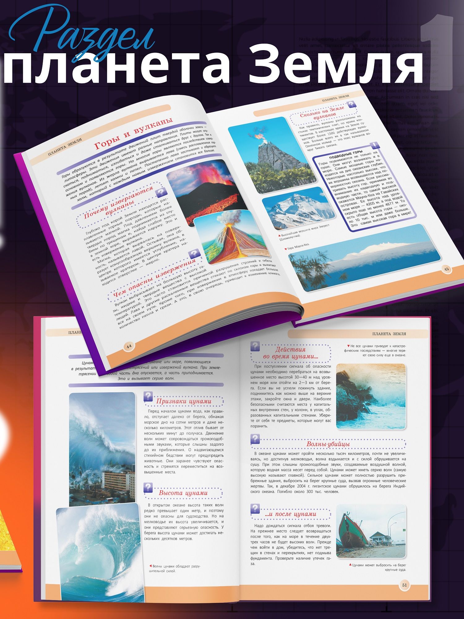 Книга для детей в подарок Новейшая энциклопедия школьника | The New Encyclopedia for Schoolchildren - Ozon image 5