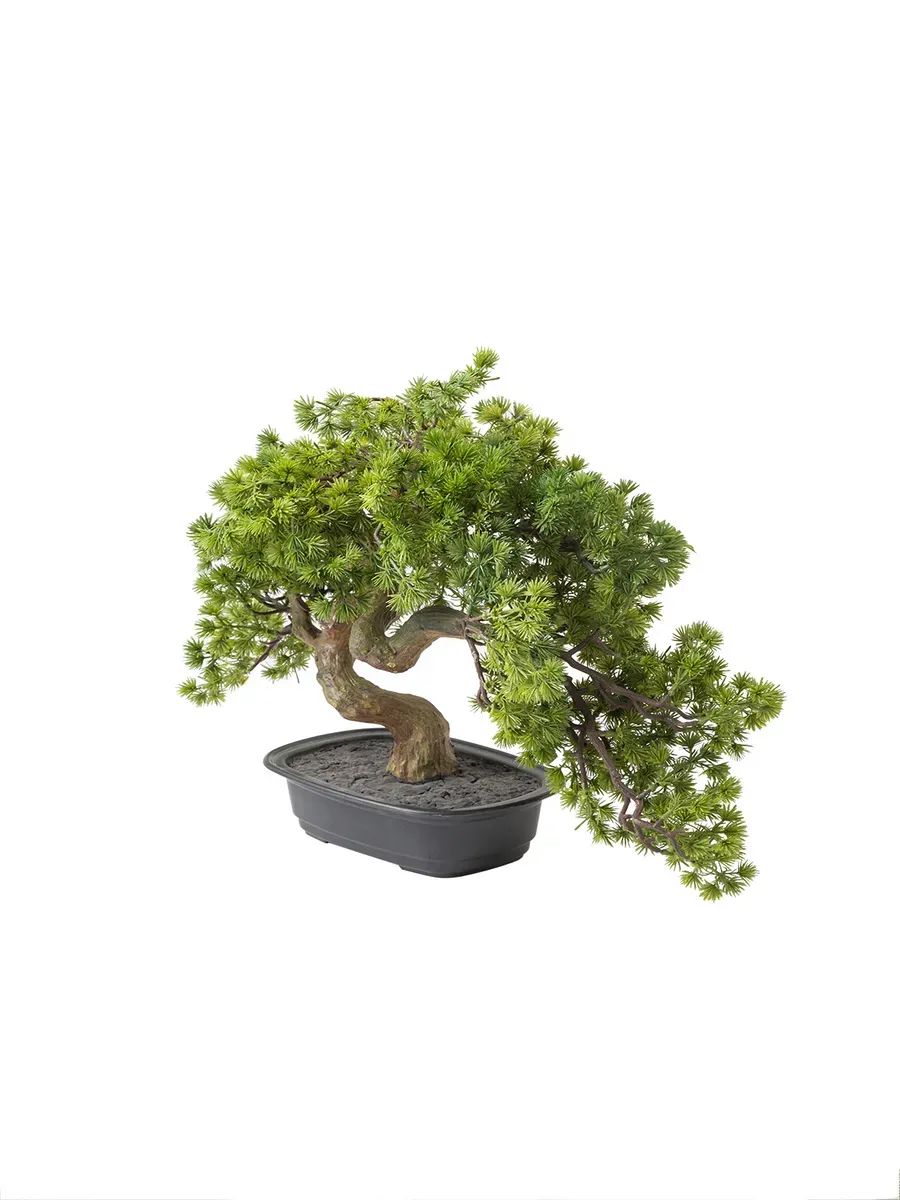 бонсай 44CM TH106164 Китай