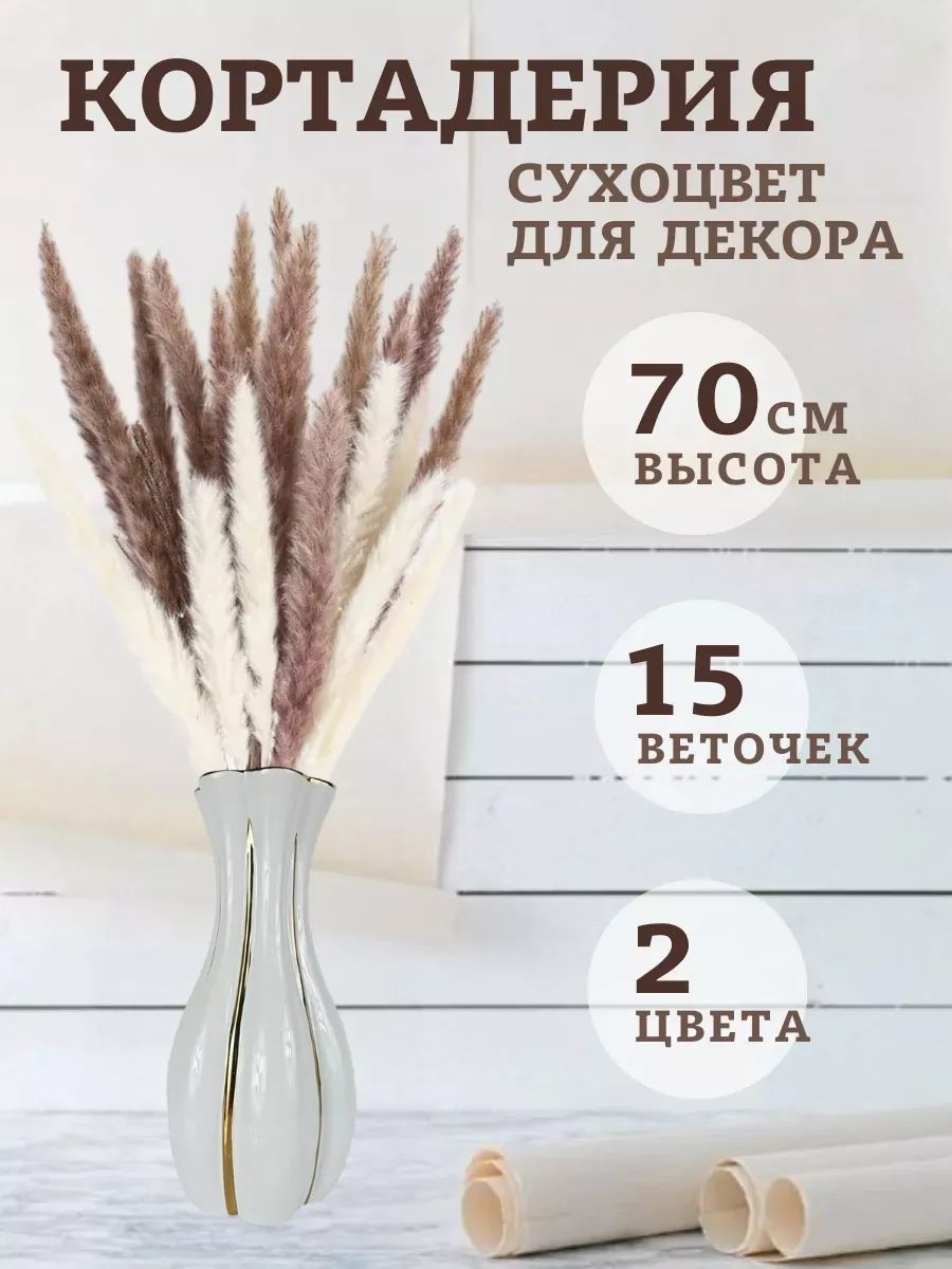 Кортадерия 15 стебли 50-70cm 8 Коричневый+7 белый арт.SJ-6