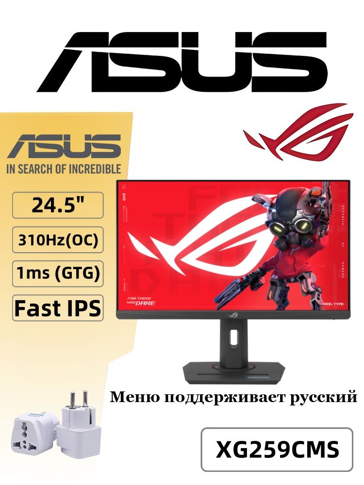 ASUS 24.5