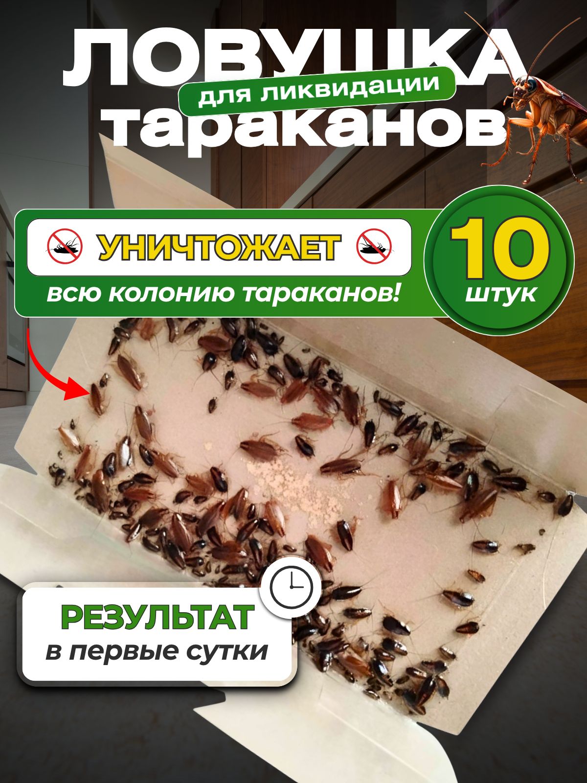 Ловушкадлятаракановклееваясприманкойэффективноесредствооттараканов