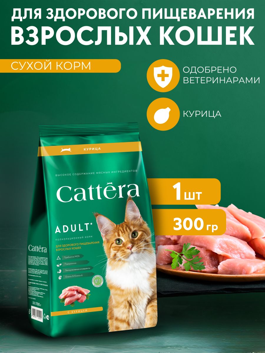 КормдлякошексухойCATTERAполнорационныйдляздоровогопищеварениявзрослыхкошекскурицей,300гр,1шт