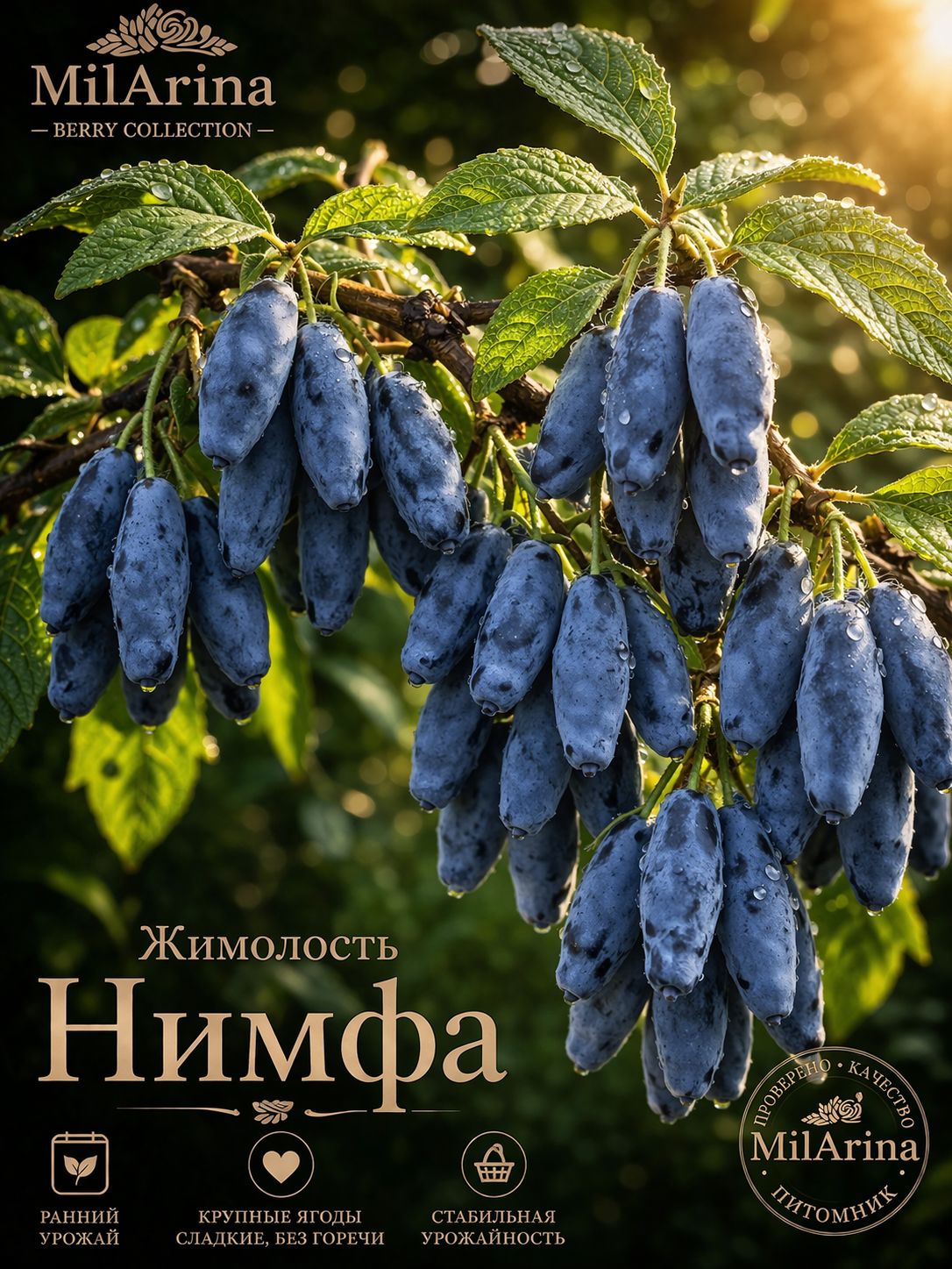 Саженецжимолости