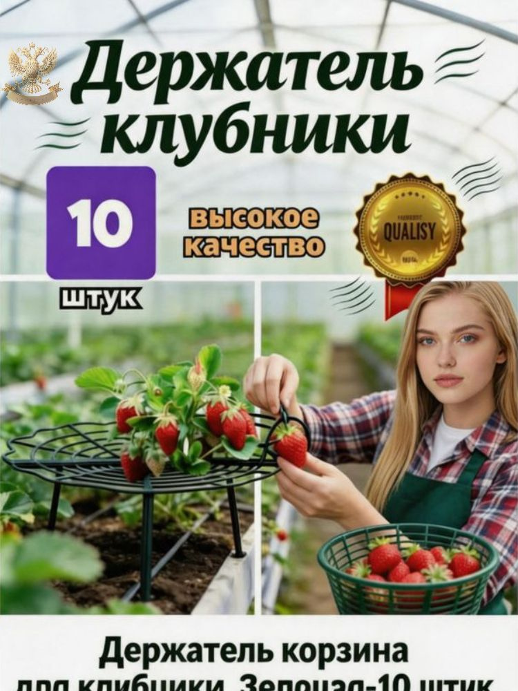 29-9-10-ozon-4379627974