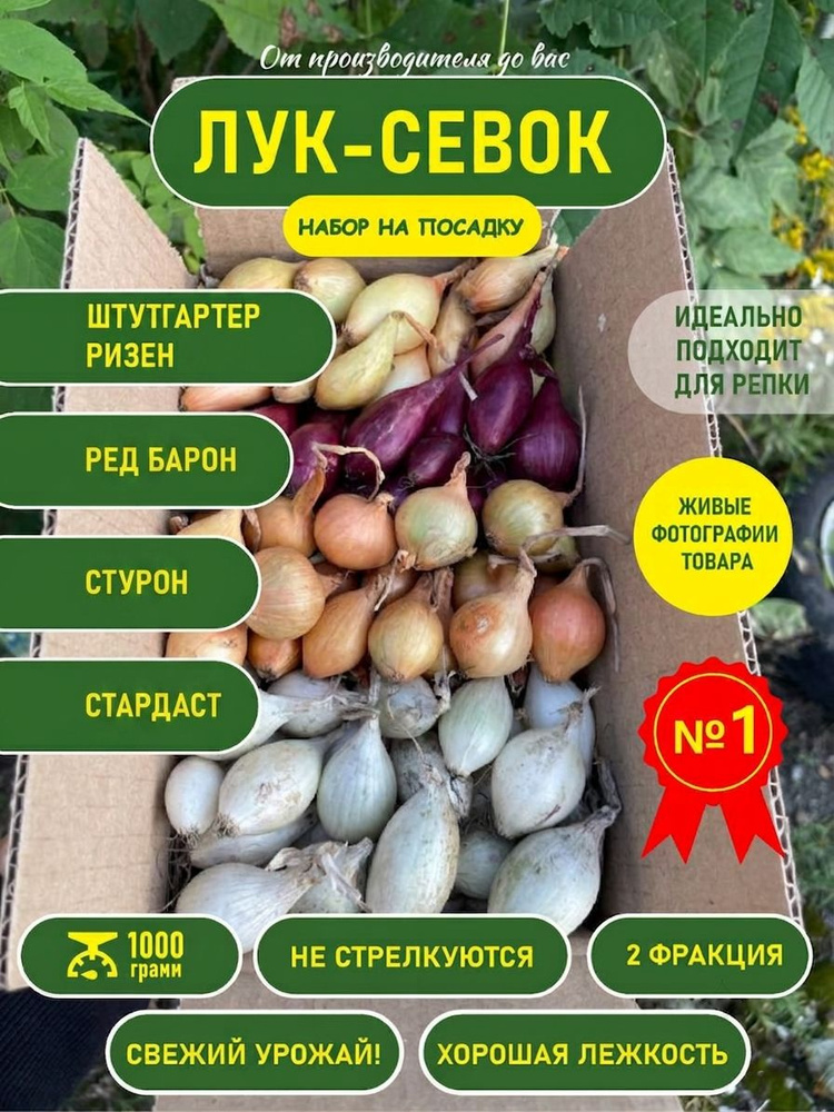 Лук севок на посадку весной на репку набор 4в1 1000г стурон ред барон стардаст штутгартер #1